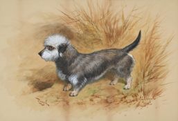 BASIL NIGHTINGALE (BRITISH 1864 - 1940), 'DAZZLE', A DANDIE DINMONT