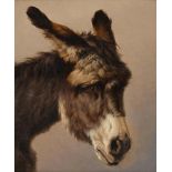 ROSA BONHEUR (FRENCH 1822-1899), HEAD OF A DONKEY