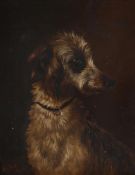 COLIN GRAEME (BRITISH 1858-1910), PORTRAIT OF A LURCHER