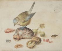 AFTER GEORG FLEGEL, STILL LIFE WITH BLUE TIT, SHELLS, FRUITS AND INSECT