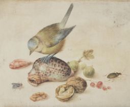 AFTER GEORG FLEGEL, STILL LIFE WITH BLUE TIT, SHELLS, FRUITS AND INSECT
