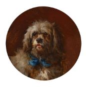 CIRCLE OF GEORGE EARL (BRITISH 1824-1908), STUDY OF A SPANIEL WITH A BLUE BOW