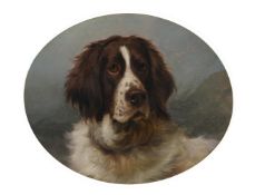 GEORGE EARL (BRITISH 1824-1908), HEAD STUDY OF A SPANIEL: 'SANCHO'