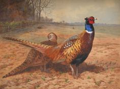 ARCHIBALD THORBURN (SCOTTISH 1860 - 1935), COCK AND HEN PHEASANTS