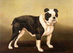 EDWARD AISTROP (BRITISH FL. 1880-1920), `MISCHIEF' A BULL BITCH