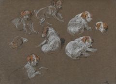 BRITON RIVIÈRE (BRITISH 1840-1920), SKETCH OF A PUPPY; TOGETHER WITH A LITHOGRAPH (2)