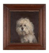 VINCENT DE VOS (BELGIAN 1829-1875), PORTRAIT OF A DOG OR HEAD OF A BICHON FRISÉ