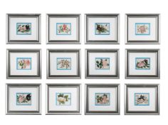 A SET OF TWELVE CHINESE EXPORT RICE PAPER PAINTINGS OF FLOWERS, 19TH CENTURY
