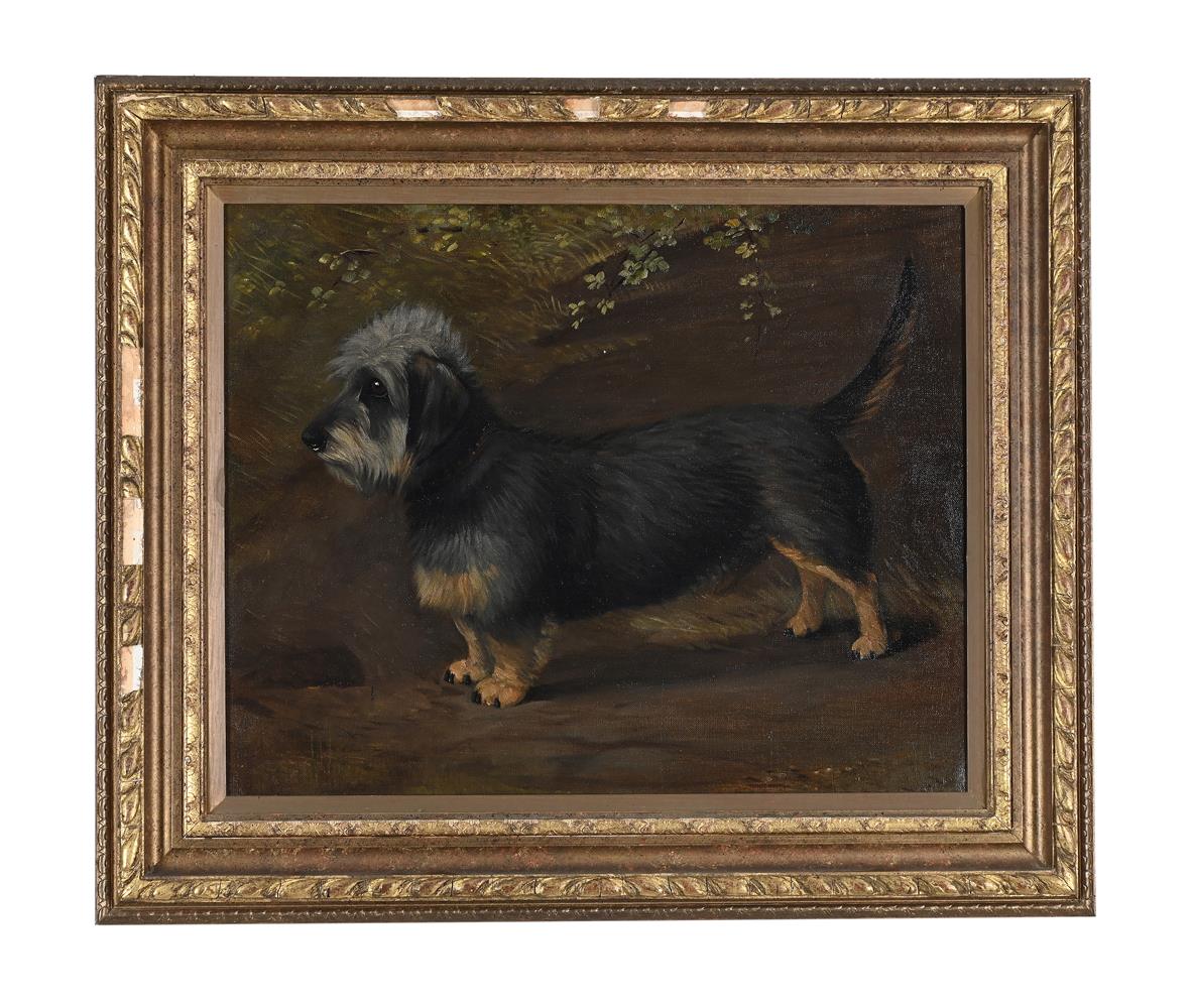 FOLLOWER OF MAUD EARL (BRITISH 20TH CENTURY), PORTRAIT OF A DANDIE DINMONT