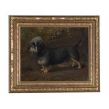 FOLLOWER OF MAUD EARL (BRITISH 20TH CENTURY), PORTRAIT OF A DANDIE DINMONT