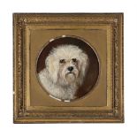 J H WILLS (BRITISH 19TH CENTURY), A MALTESE TERRIER
