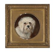 J H WILLS (BRITISH 19TH CENTURY), A MALTESE TERRIER