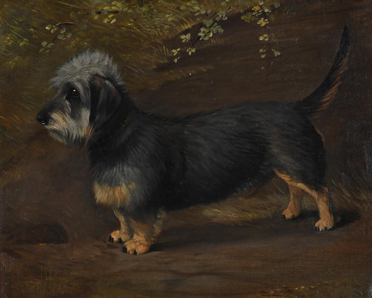 FOLLOWER OF MAUD EARL (BRITISH 20TH CENTURY), PORTRAIT OF A DANDIE DINMONT - Image 2 of 4