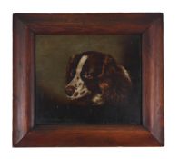G. W. MILLER OF BATH (BRITISH 19TH CENTURY), PORTRAIT OF A SPANIEL