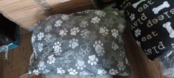 42 X B&M DOG PILLOW MATTRESS