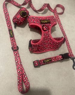 JOBLOT OF 364 SETS OF BRAND NEW DOG LEADS, HARNESS, COLOUR AND POOP BAG HOLDER