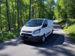 2017 FORD TRANSIT CUSTOM 290 TDCI L2H1 2000CC DIESEL >>--NO VAT ON HAMMER--<<