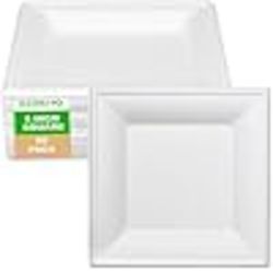 500 SQUARE PAPER PLATES 6-INCH BAGASSE SUGAR CANE ECO FRIENDLY
