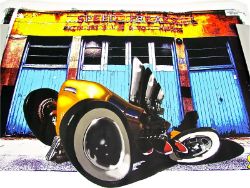 160 X FLATHEAD FLYER POSTER