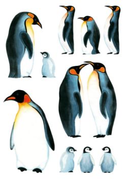 750 X WALL DECO TATTOO- PENGUIN