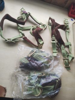 EQUI THEME - EQUESTRIAN HEAD COLLAR - GREEN/BROWN - PONY - NEW WITH TAGS - JOBLOT OF 4