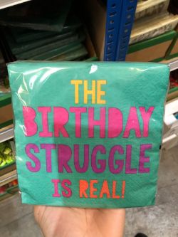 160 X (16 PACK) YOUNG & FAB NAPKINS 2 PLY 13 X 13 INCH