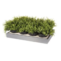 48 PCS BRAND NEW SUMMER HOME GARDEN STOCK TO CLEAR- 20CM ARTIFICIAL THYME IN POT