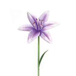 72PCS GARDEN SUMMER BRANDED STOCK TO CLEAR- GARDEN METAL FLOWER,DECORATED STAKES -