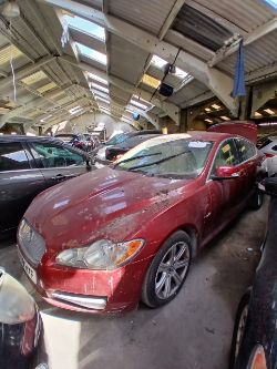 2008 JAGUAR XF LUXURY D V6 – AUTOMATIC – RED – DIESEL >>--NO VAT ON HAMMER--<<