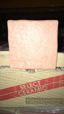 280 BXS CORA COTTA 10 X 10CM WALL TILES (4