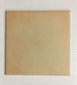 31 BXS CAMILE TERRACOTTA WALL TILES 152 X 152 X 5.5MM (6X6