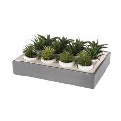24 PCS BRAND NEW SUMMER HOME GARDEN STOCK TO CLEAR - 16CM SUCCULENT IN CEMENT POT - 3 ASSORTED