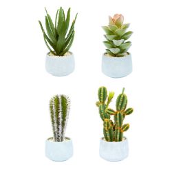 24 PCS BRAND NEW SUMMER HOME GARDEN STOCK TO CLEAR - 26CM ARTIFICIAL CACTUS IN CEMENT POT
