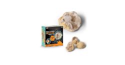 84 X BRAND NEW BREAK YOUR OWN GEODES SET