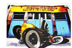 451 X FLATHEAD FLYER POSTER (40)