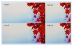 2472 X ENVELOPE LABELS - (250) *NBC*