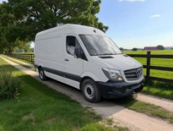 2015 MERCEDES-BENZ SPRINTER 313 CDI PANEL VAN