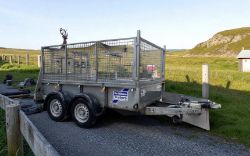 IFOR WILLIAMS TRAILER GD85 8X5 >>--NO VAT ON HAMMER--<<