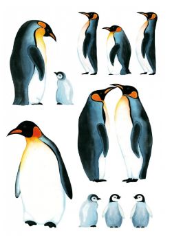 696 X WALL DECO TATTOO- PENGUIN (15)