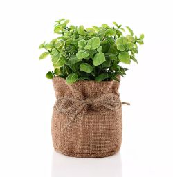 378 X BRAND NEW SMALL FAUX PLANT IN HESSIAN BAG 15CM