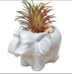 600 X BRAND NEW CEMENT EFFECT ELEPHANT PLANTER WITH SUCCULENT