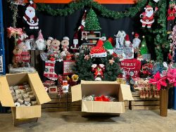 CHRISTMAS BRANDED PRODUCTS LIGHTS, DECORATIONS, WATER SPINNERS, LIGHT SCULPTURES & MUCH MORE!