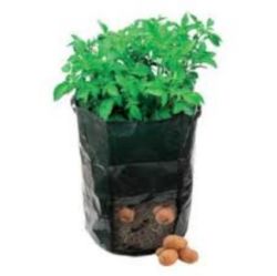 450 X POTATO PLANTING BAG