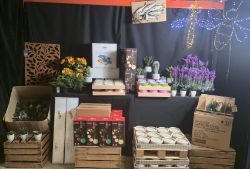 1 PALLET OF SUMMER GARDEN LIGHTS, SOLAR, PLANTERS, FEATURES,OUTDOOR, LANTERNS, RUGS & MUCH MORE!