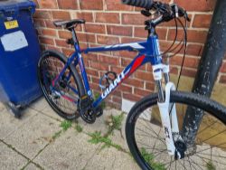 GIANT MOUNTAIN BIKE NEW