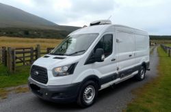 2019 FORD TRANSIT 2.0 ECOBLUE L3H2 LWB FREEZER VAN