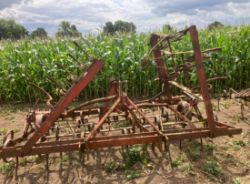 FOLDING SPRINGTINE HARROW