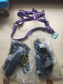 MIXED BRANDED - EQUSTRIAN HEAD COLLARS - COB AND PONY - MIXED COLOURS -NEW WITH TAGS