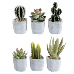 144PCS HOME OUTDOOR LIVING BRANDED STOCK TO CLEAR ARTIFICIAL POTTED PLANTS - 8X8CM CACTUS