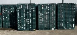 NO VAT - 10 X DEEP BAIL ARM CRATES